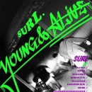 Young전자 이미지