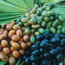 굿라이프슈퍼마켓 이미지