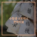 양신탕 이미지