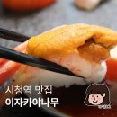 시청역 | 시청역 술집 이자카야나무 시청역 조용한 술집 후기