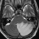 도봉한의원 이미지