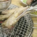 화끈한갈매기 이미지