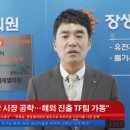 이레네코리아