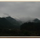 여의보건진료소 Daum카페