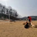 박순호의 아이슬란드 이미지