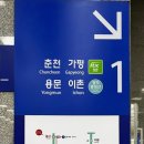 국선도 종합 이미지