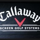 캘러스크린골프 이미지