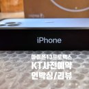 프로맥스 티스토리
