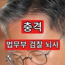 충격 법무부 검찰 뇌사 줄사표 이미지