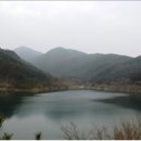 미선농장 2 이미지