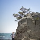 신이펜션 | 경주여행,경주가볼만한곳,초등 역사체험,경주 한화리조트