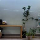 메디캐슬의원 이미지