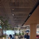 퍼틴 현대백화점미아점 네이버블로그