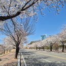 할미꽃하우스 민박 이미지