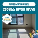 힐스테이트명품크리닝 | 파주 힐스테이트 더운정 입주청소 문제 없이 마무리 완료해주는 업체