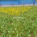 화합공원 이미지