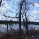 평동초교 이미지