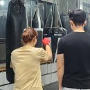 파주권투체육관 운정점 이미지