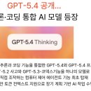 Gemini Man | [3월6일] 추론·코딩 모델 통합한 GPT-5.4 공개, 와이파이 보안 취약점 에어스니치