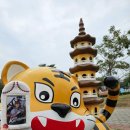 용호모텔 | 미술관, 보얼예술특구, 치진섬(자전거타고들어가기), 미려도역, 용호탑, 쭤잉역 앞 훠거맛집 쭈지엔훠거