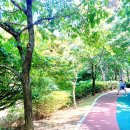 동네지역아동센터 이미지