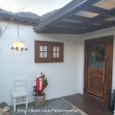 멍멍이 날다 이미지