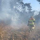 성산읍-4 이미지