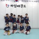 하임태권도장 네이버블로그