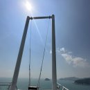 남해의 숲 이미지