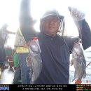 한하레저낚시;한하3호