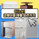 피비티제주