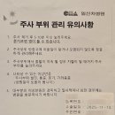 공단실비식당 | [난임일기 #5] 이식 전 마지막 점검, 자궁경 검사 후기