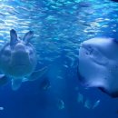 동촌자동차정비 | 대구 근교 겨울방학! 아이랑 가기 딱 좋은 핫플 4곳 완벽 정리✨ 실내 키즈카페·이월드 일루미네이션...