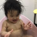 소룡세탁소 네이버블로그