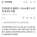 인천공항 또 뚫렸다…21cm 흉기 소지한 중국인 적발 이미지