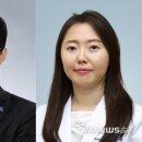 와우29 전자신문