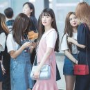 송하영 카카오 검색결과