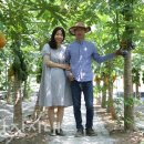 파파농장 이미지