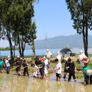 광주북초등학교 이미지