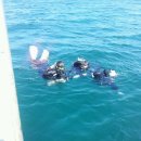 블루오션스킨스쿠버 이미지