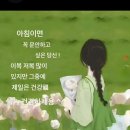 👉6/19 류효상의 신문을 통해 알게 된 이야기들🐏 이미지