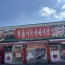 우리땅한우실비식당 | 한우 맛집은 여기로 하이원맛집 “황소식육실비식당한우하이원”