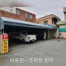 금성타포린