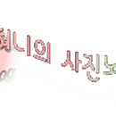 아디다스헤리티지명동