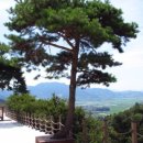 금전산 일원 이미지