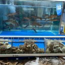 농수산물도매시장화장실 | 구리 농수산물도매시장에서 대게, 회 먹은 후기(가격, 초장집) 내돈내산