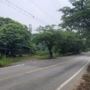 성골 농원 이미지