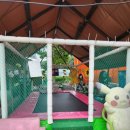 해적선 애견펜션 | 경북 안동여행 애견동반 숙소 도심속 해적선펜션 후기 바베큐는 여기야