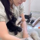 도기로움 이미지