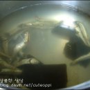 육개장 맛나는 얼큰한 쇠고기국 이미지